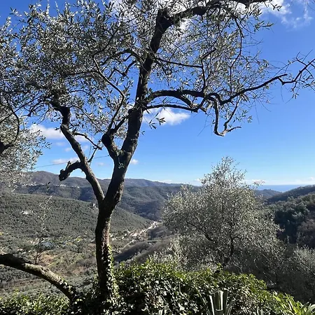 Oleandro - Vlo202 By Interhome Lägenhet Lecchiore