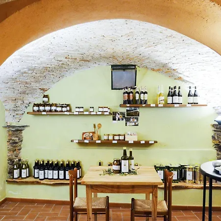 Oleandro - Vlo202 By Interhome * Lecchiore