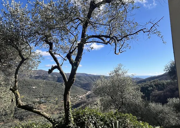 Oleandro - Vlo202 By Interhome شقة Lecchiore